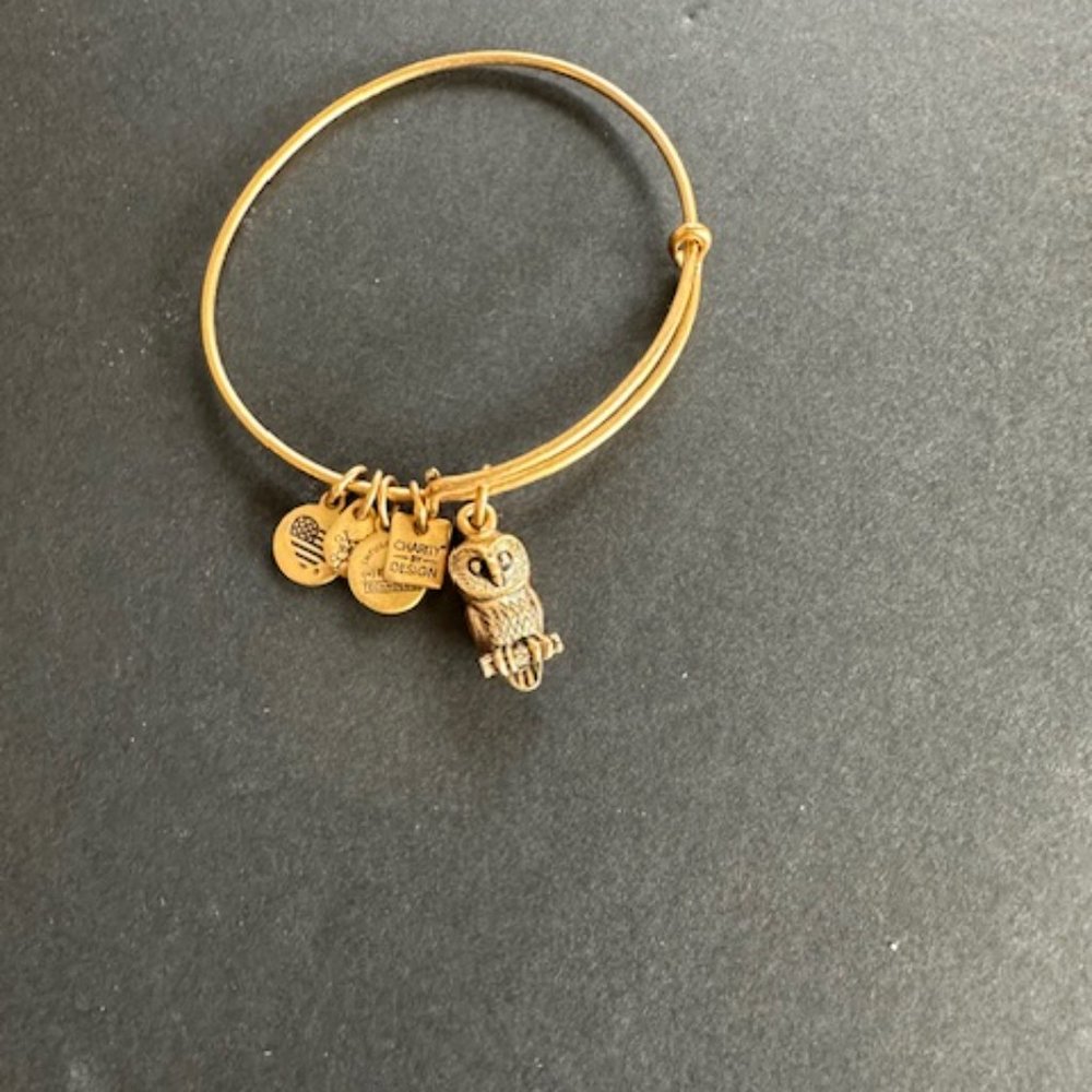 Alex And Ani × Energy Owl Bangle